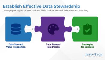Establish Effective Data Stewardship preview picture