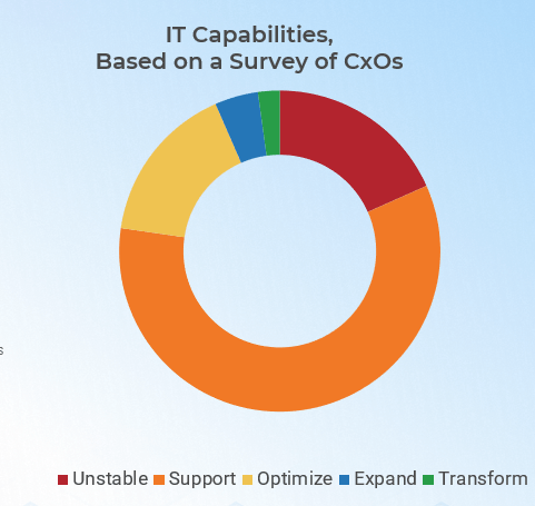 Pie Chart for IT Capabilities Based on a Survey of CxOs